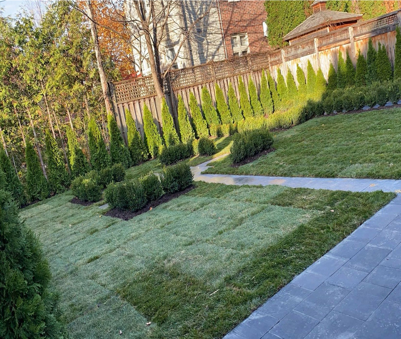 original-B875D815-E782-4805-8962-C1CDA913B970eeee